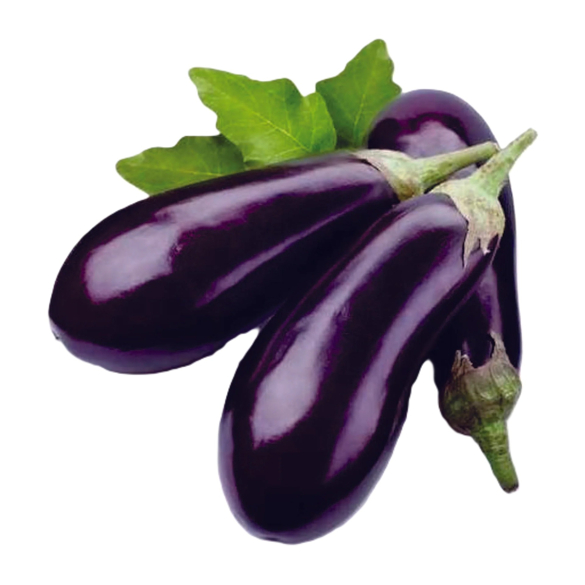 Fresh Long Brinjal (Baingan)